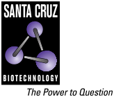 SCBT Portrait Logo
