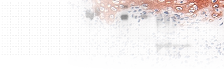 Grey background with microscopic view of cells for lab testing protocols.